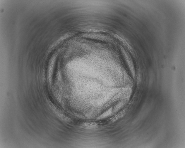 X0000081420353200701261559