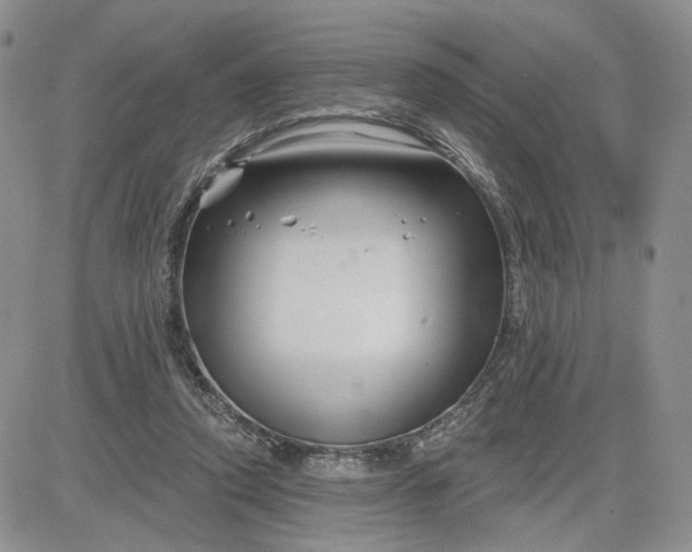 X0000081420354200701261559