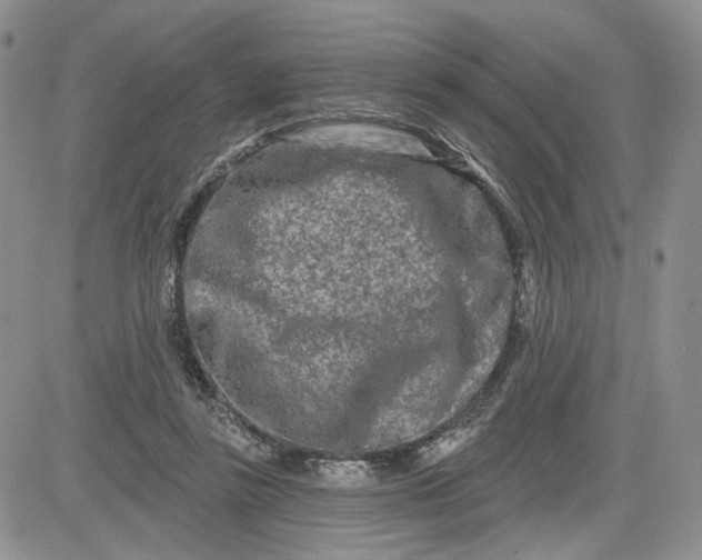 X0000081420355200701261559