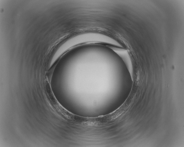 X0000081420356200701261559