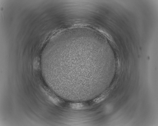 X0000081420361200701261600