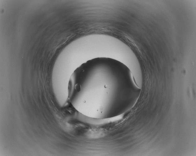 X0000081420362200701261600