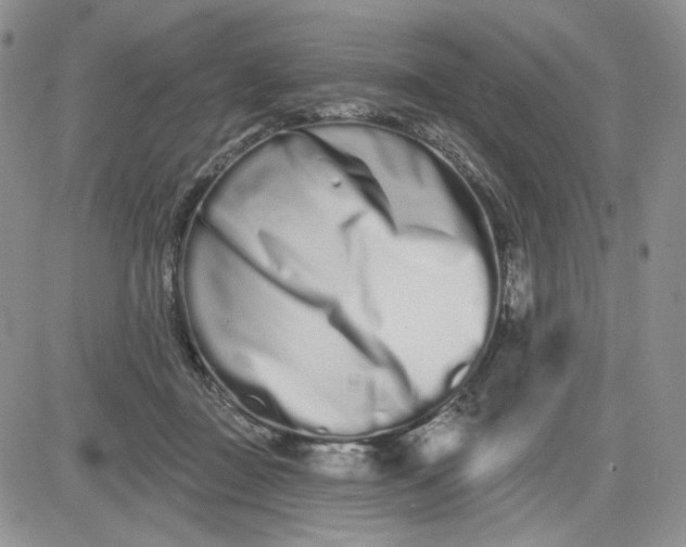 X0000081420363200701261600