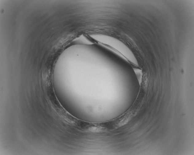 X0000081420364200701261600