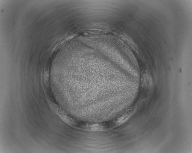 X0000081420365200701261600