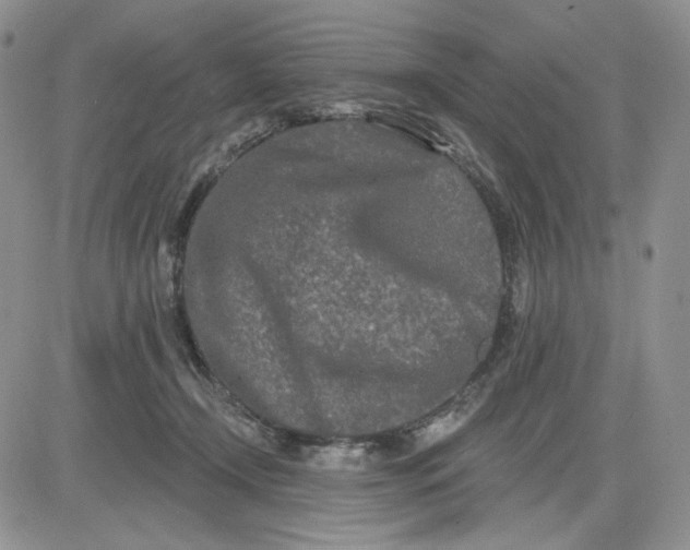 X0000081420366200701261600