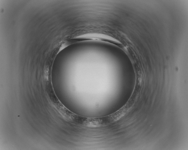 X0000081420368200701261600