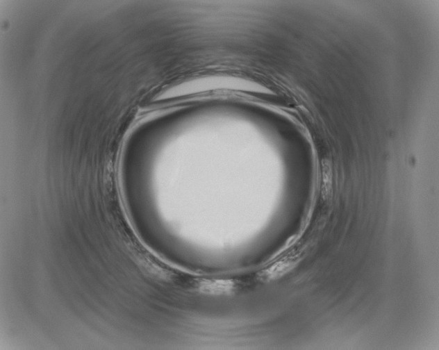 X0000081420369200701261600