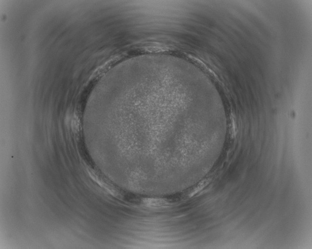 X0000081420371200701261600