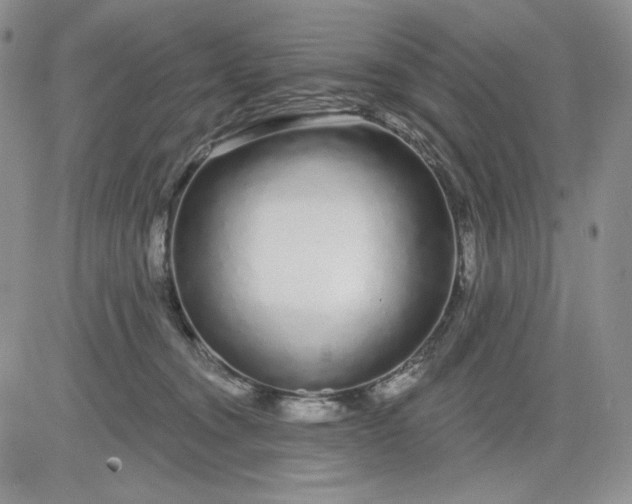 X0000081420372200701261600