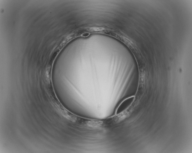 X0000081420373200701261600