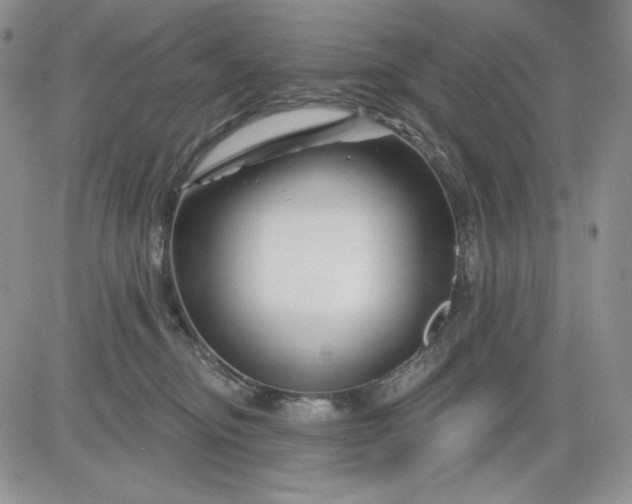 X0000081420374200701261600