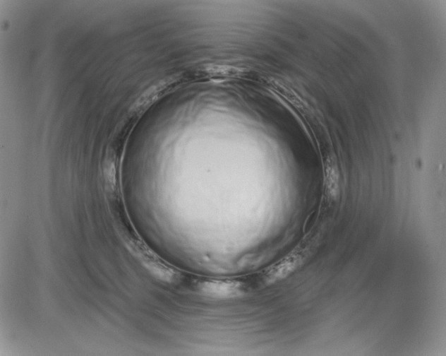 X0000081420375200701261600