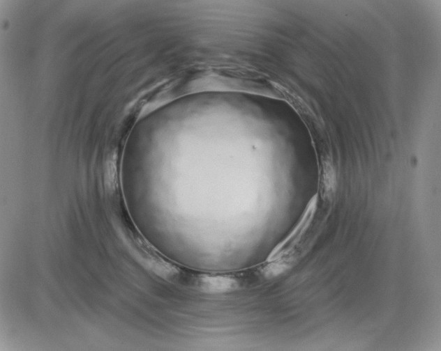 X0000081420376200701261600