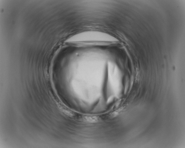 X0000081420377200701261600