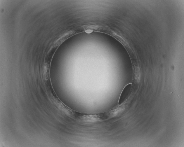 X0000081420378200701261600