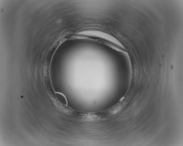 X0000081420379200701261600