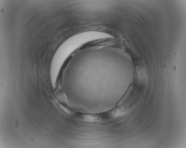 X0000081420380200701261600