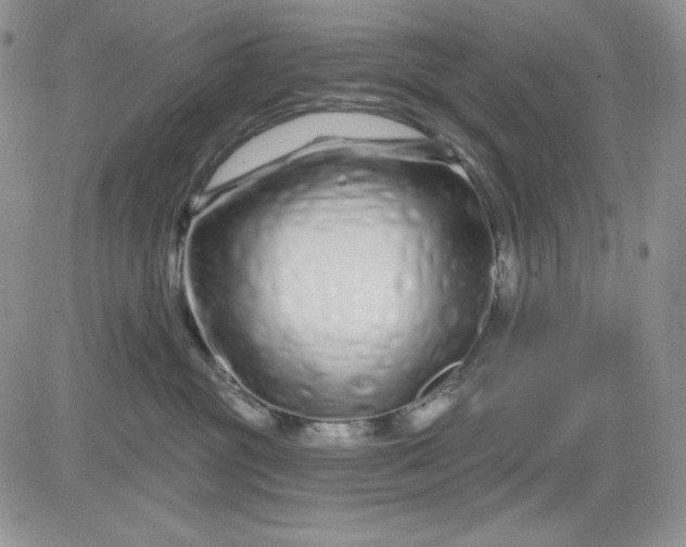 X0000081420381200701261600