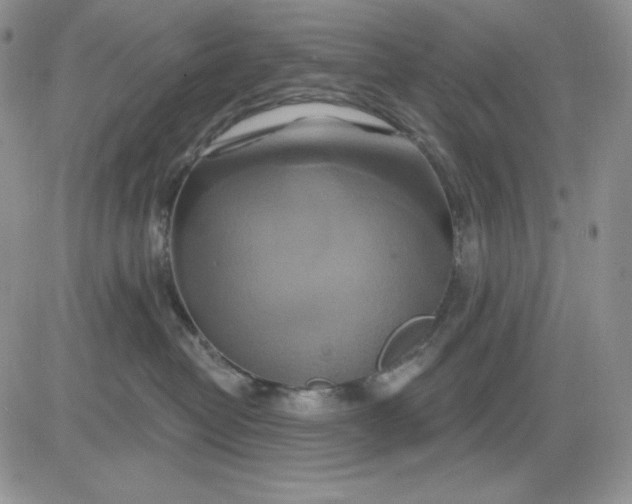 X0000081420382200701261600