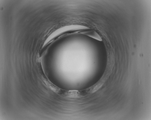 X0000081420384200701261600