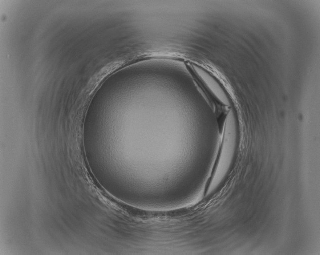 X0000081420385200701261559