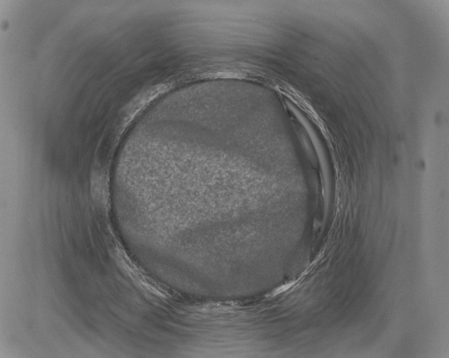 X0000081420386200701261559