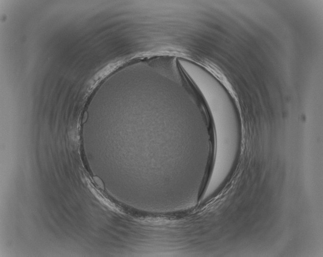 X0000081420389200701261559