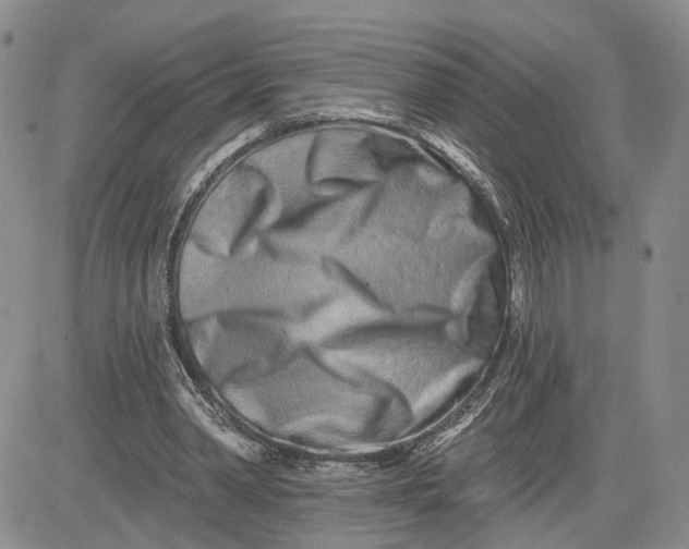 X0000081420390200701261559