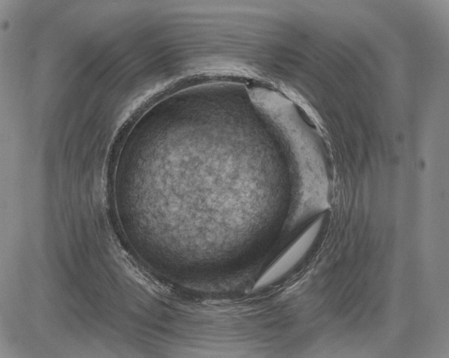 X0000081420391200701261559