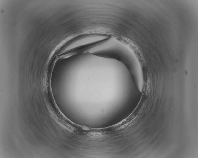 X0000081420392200701261559