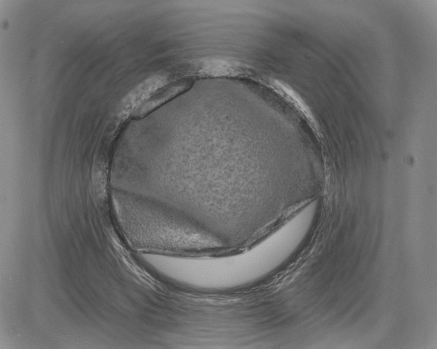 X0000081420393200701261559