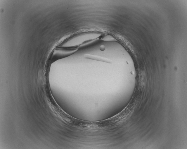 X0000081420395200701261559