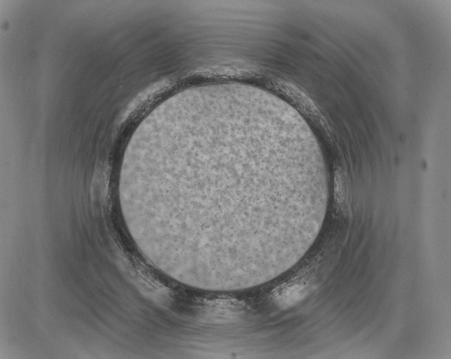 X0000081420396200701261559