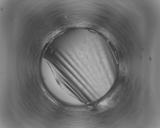 X0000081420397200701261559