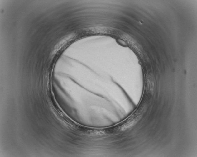 X0000081420398200701261559