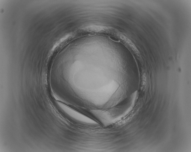 X0000081420399200701261559