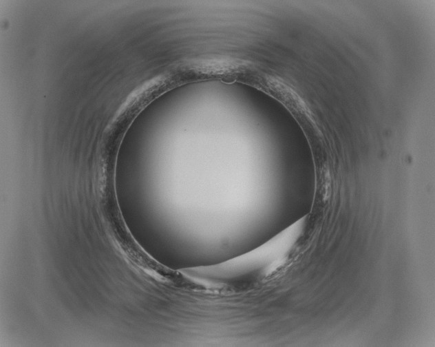 X0000081420400200701261559