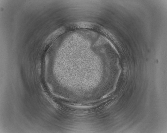 X0000081420402200701261559