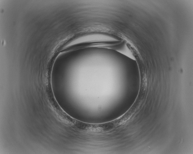 X0000081420403200701261559