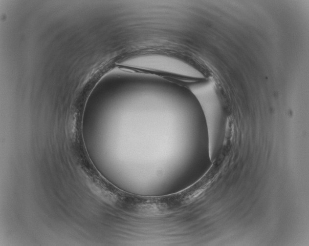 X0000081420404200701261559