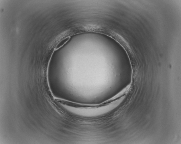 X0000081420405200701261559