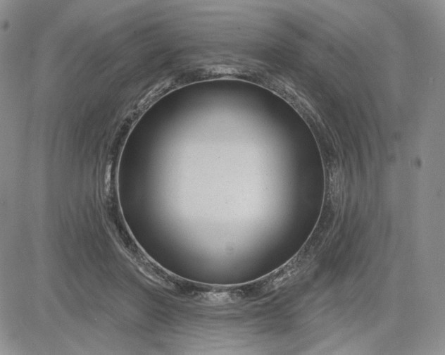 X0000081420406200701261559