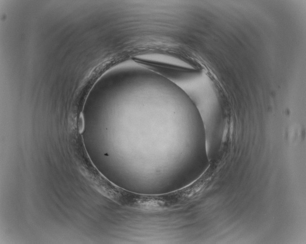 X0000081420407200701261559