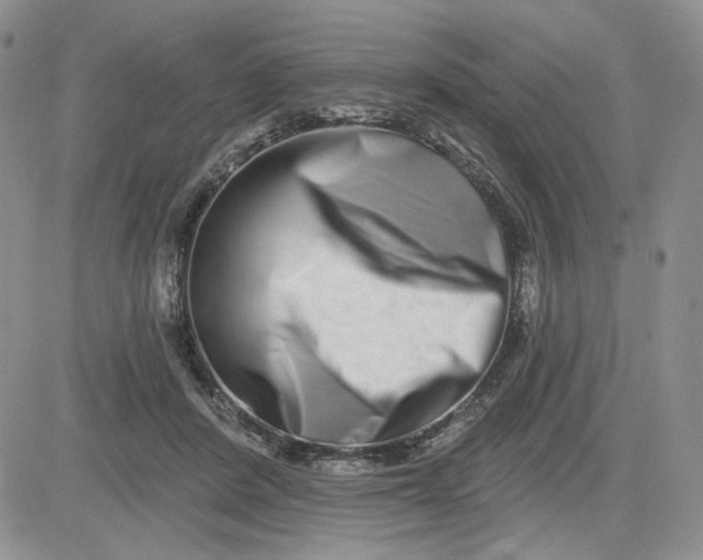 X0000081420408200701261559