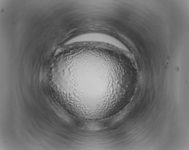 X0000081420409200701261559