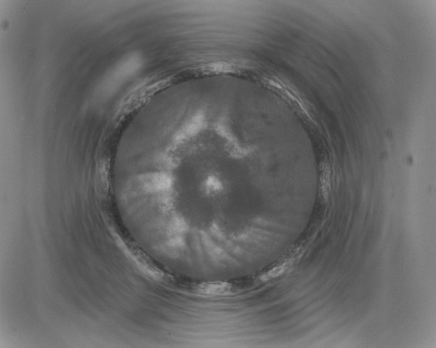 X0000081420410200701261559