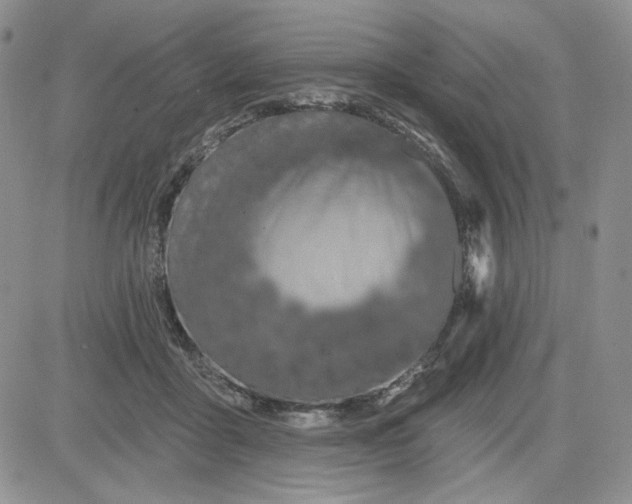 X0000081420411200701261559