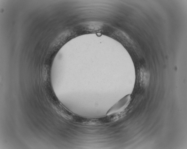 X0000081420412200701261559