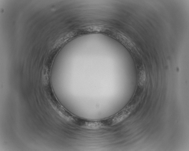 X0000081420414200701261559